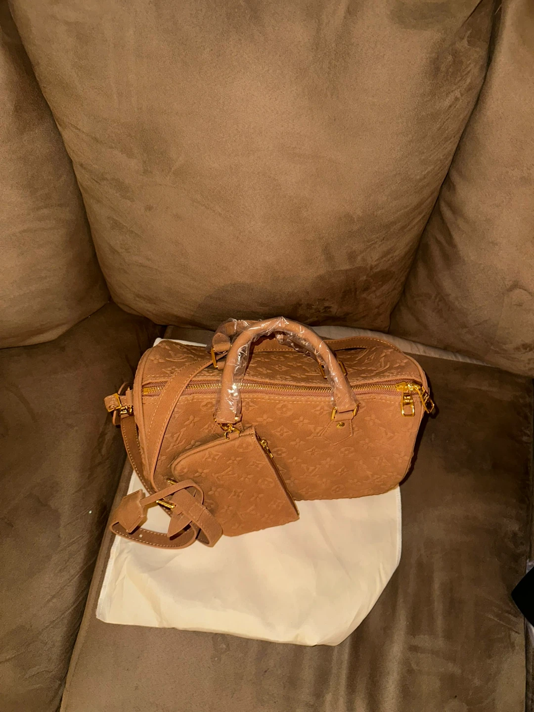 Louis Vuitton Speedy 20 Suede Monogram Bag - photo 2