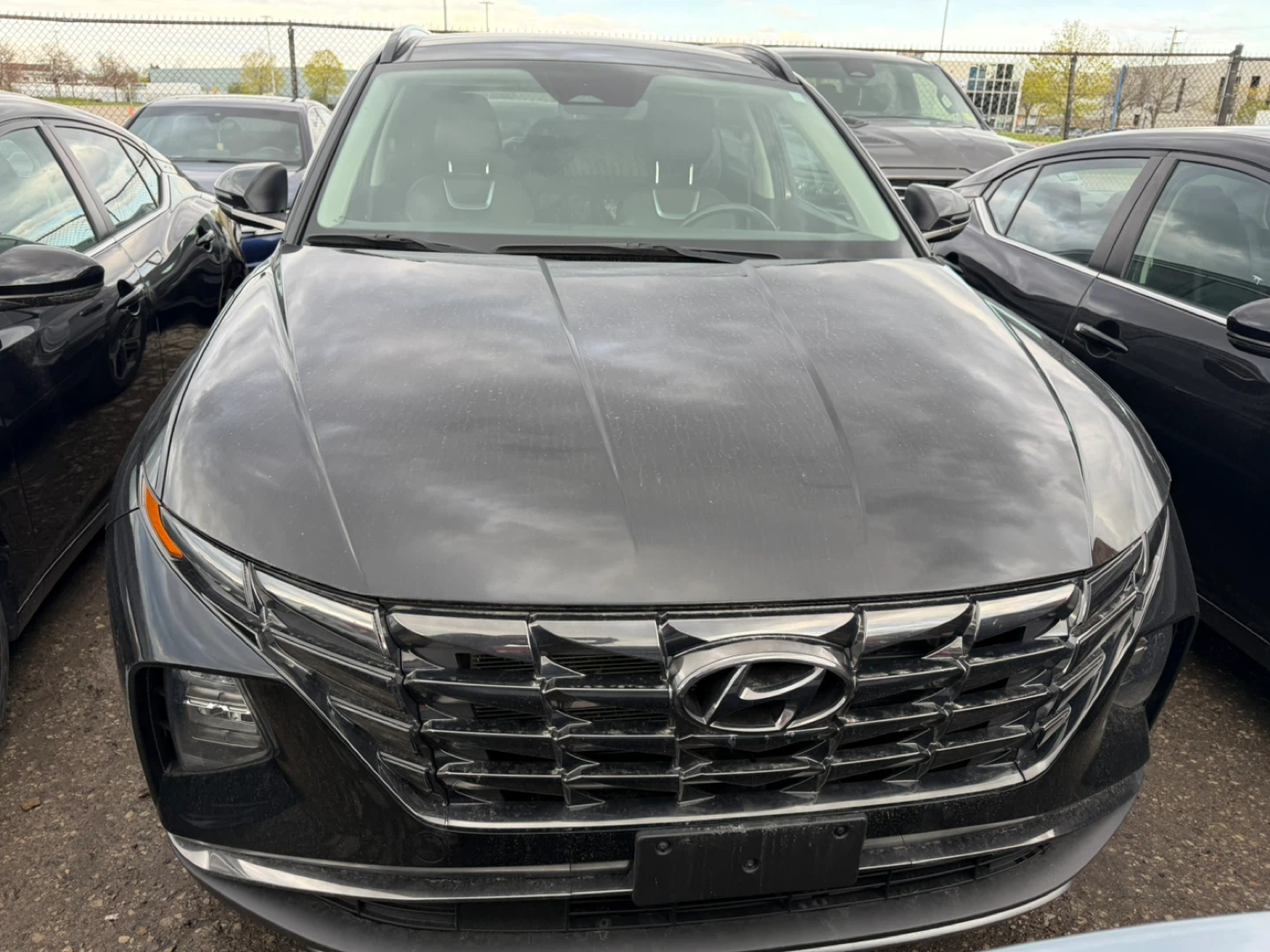 2022 Hyundai Tucson Hybrid Luxury - photo 2