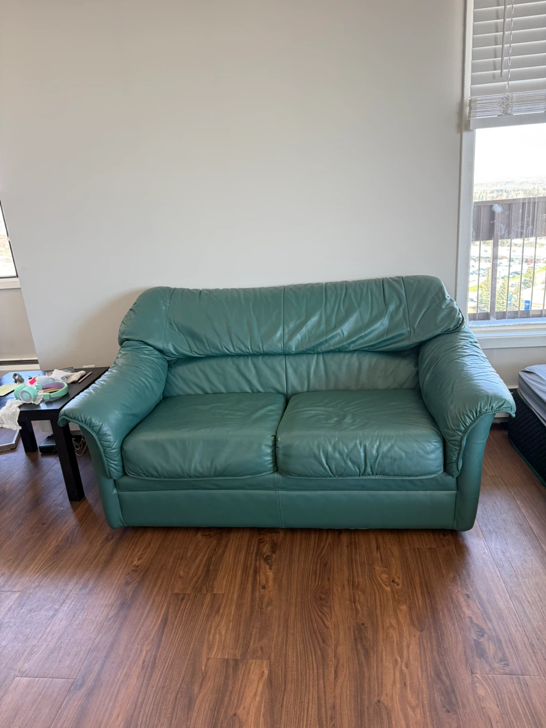 Green Leather Loveseat