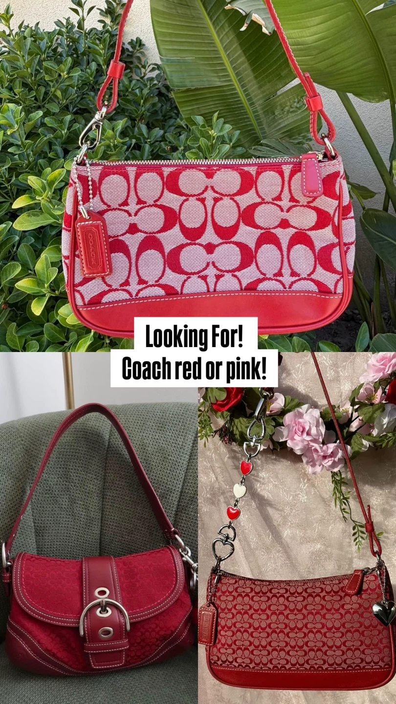 Coach Bag Lookinh