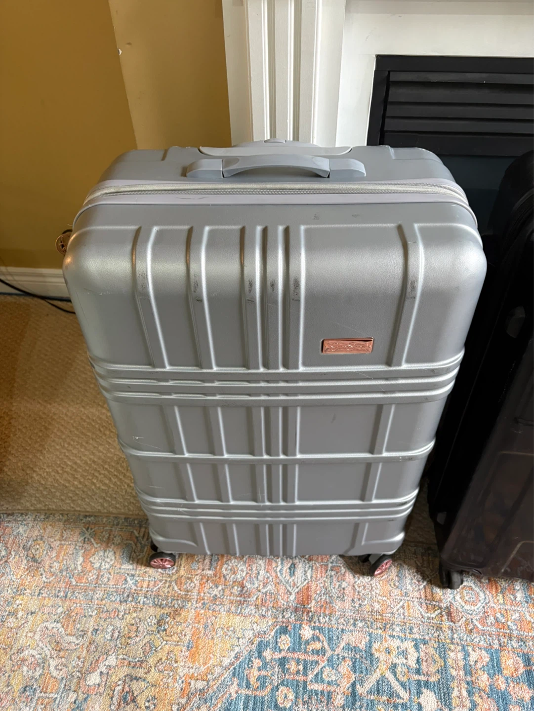 Jessica Simpson Silver Hardside Suitcase checked bag luggage