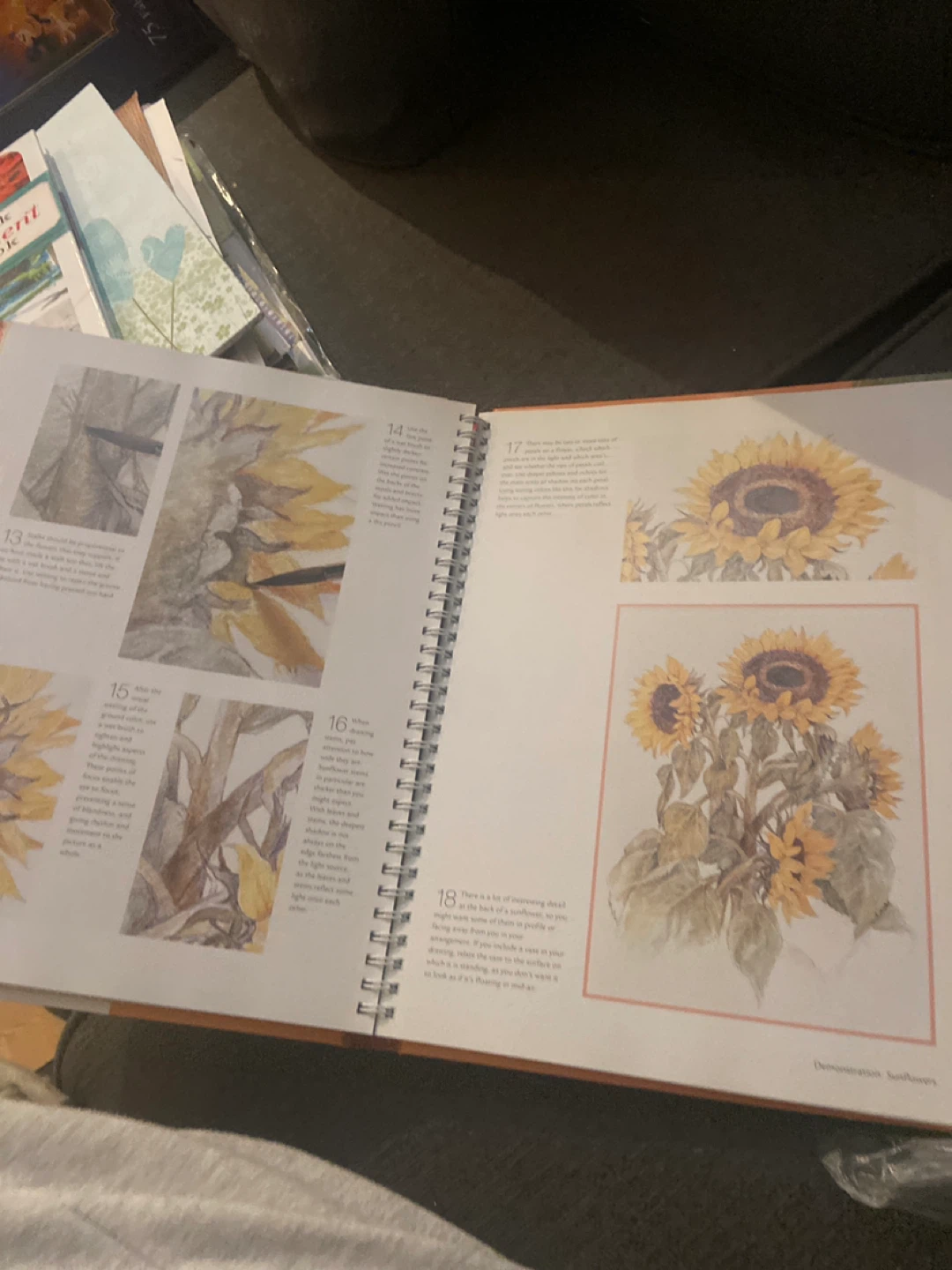 Water color learners book - photo 3