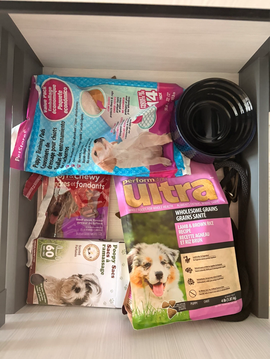 puppy and dog necessities