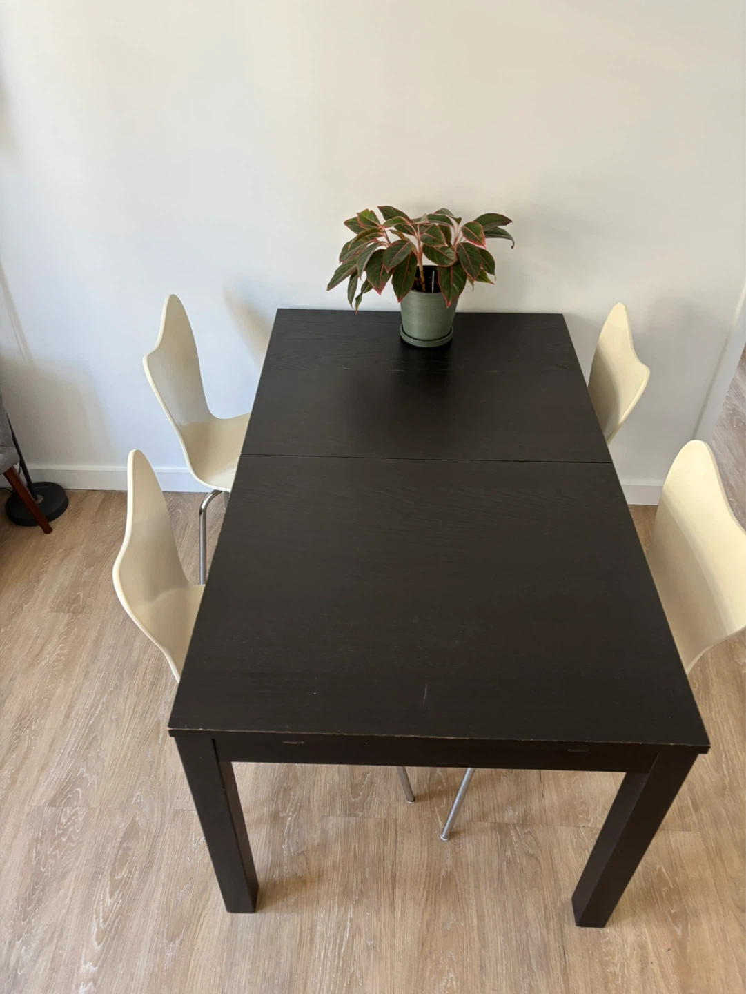 Dark Wood Dining Table