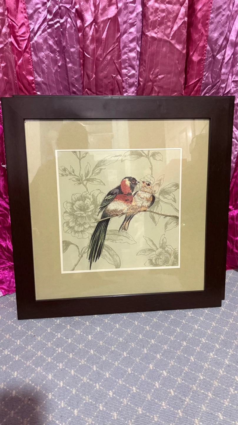 Framed Bird Art