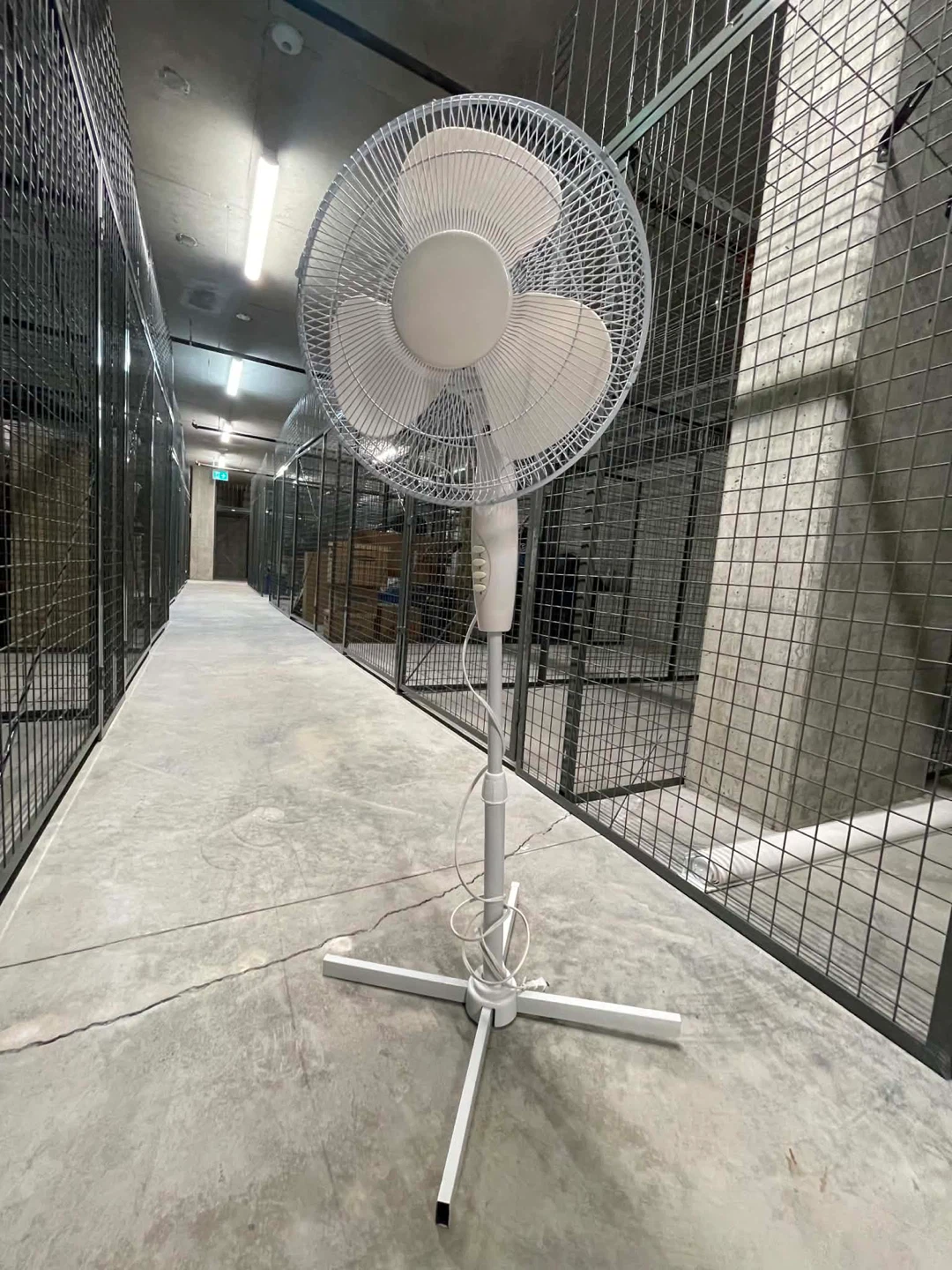 Stand Fan