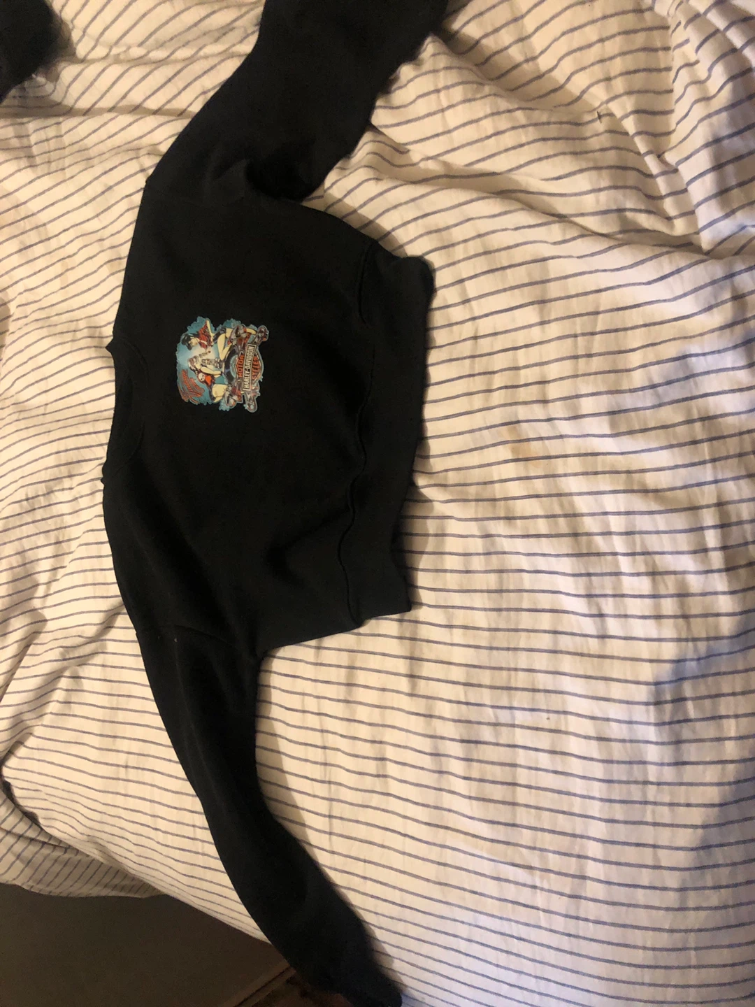 Harley-Davidson Cropped Sweatshirt