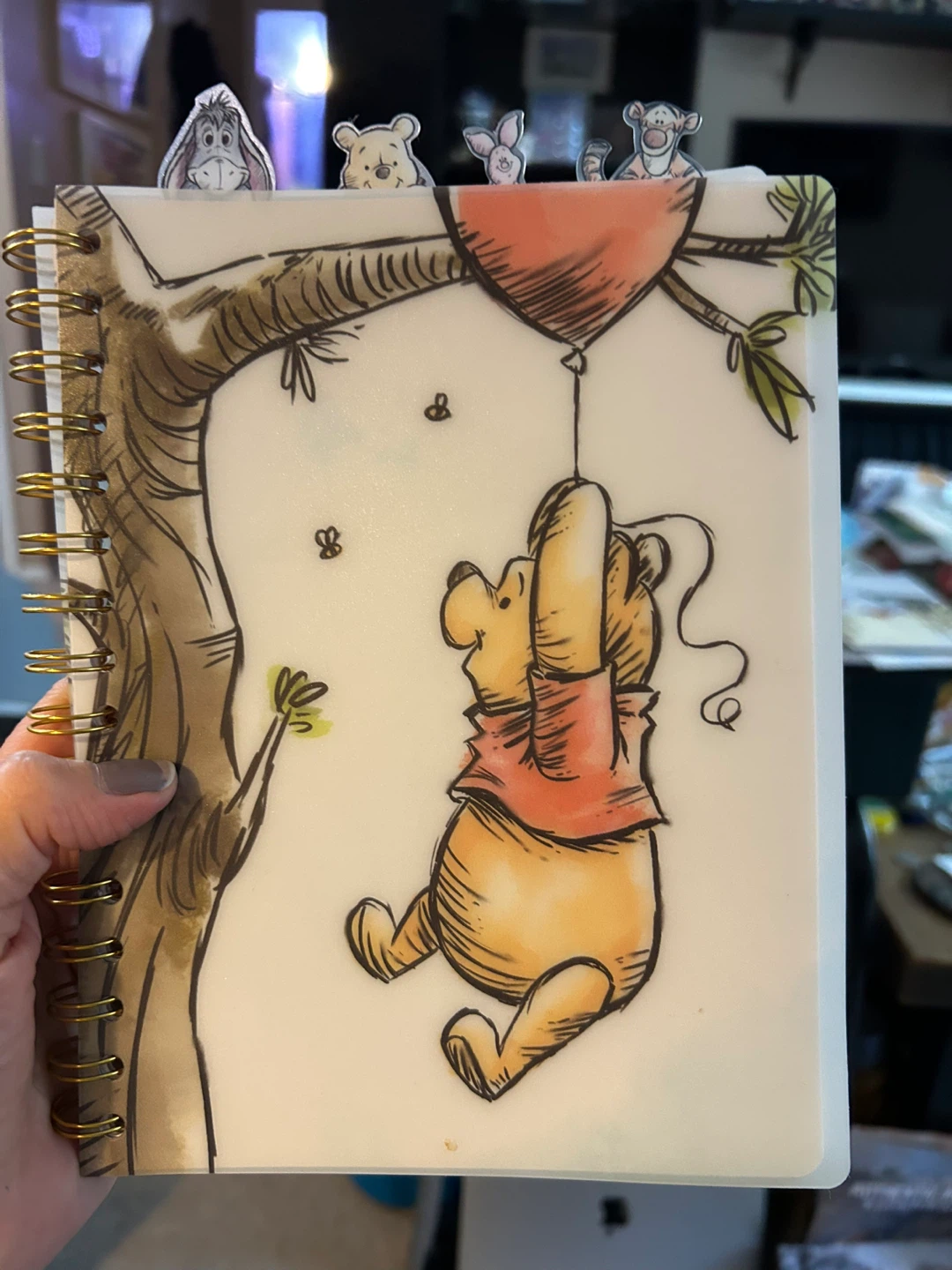 Disney Winnie the Pooh Spiral Notebook Journal