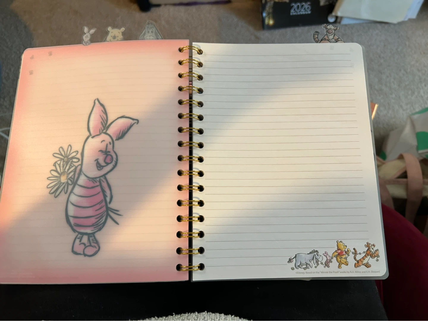 Disney Winnie the Pooh Spiral Notebook Journal - photo 3