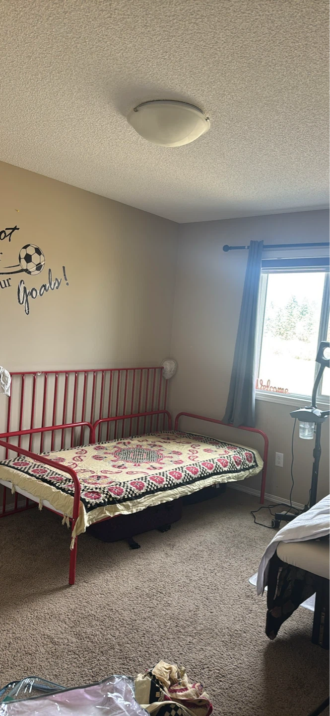 Room available for rent FEMALE only - photo 3