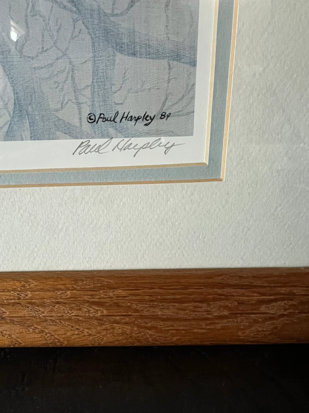Vintage Photolithograph ‘Hawk Owl’ by Paul Harpley - photo 2