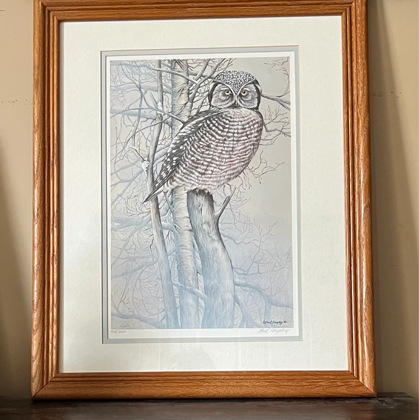 Vintage Photolithograph ‘Hawk Owl’ by Paul Harpley