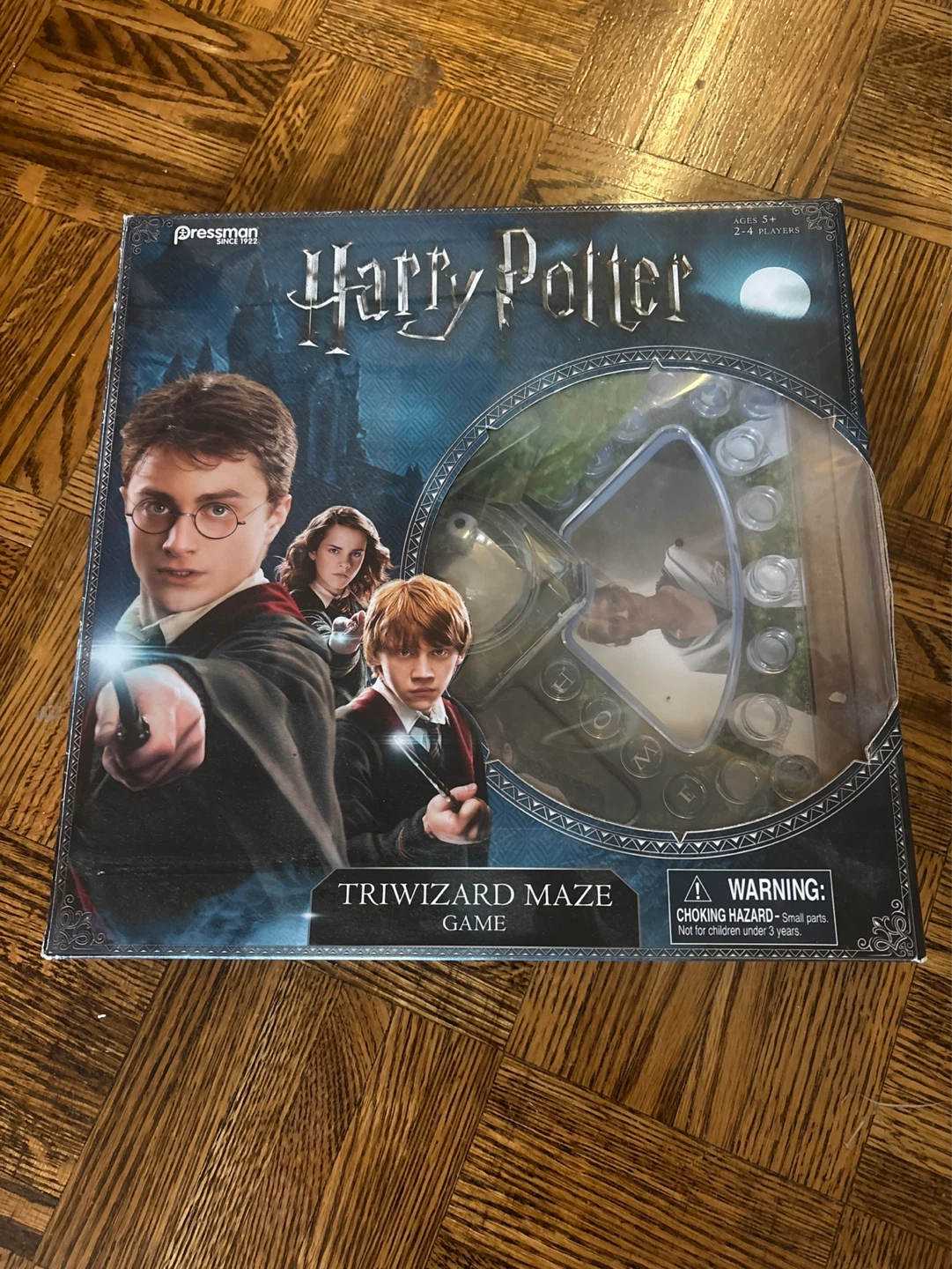 Harry Potter Triwizard Maze Game