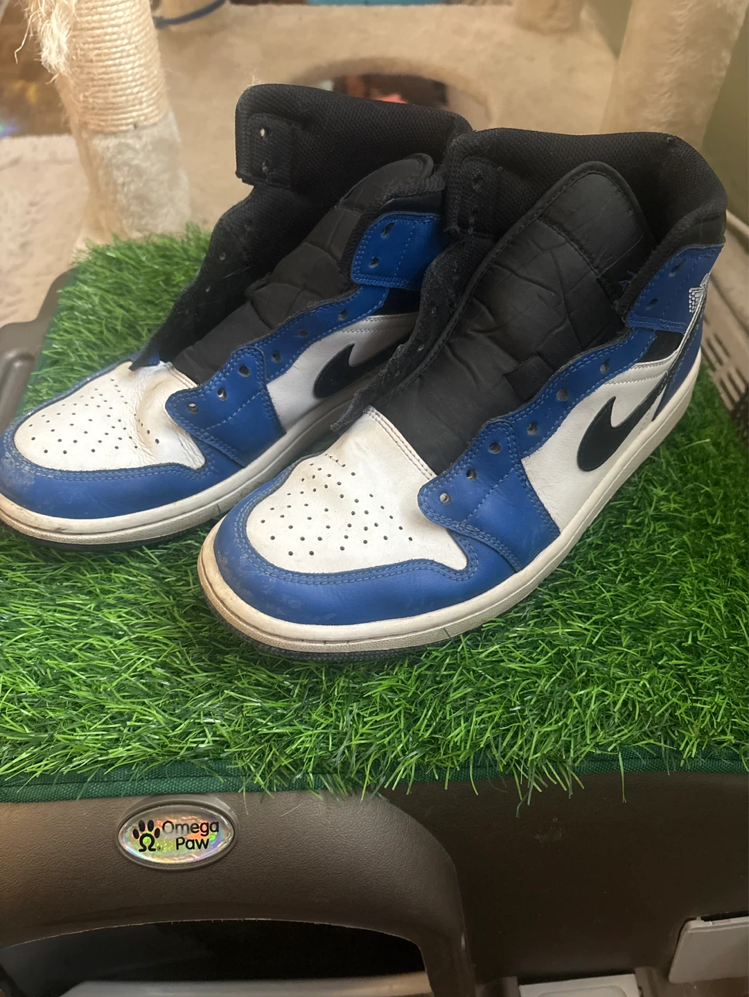 Air Jordan 1 High OG "Royal" Sneakers