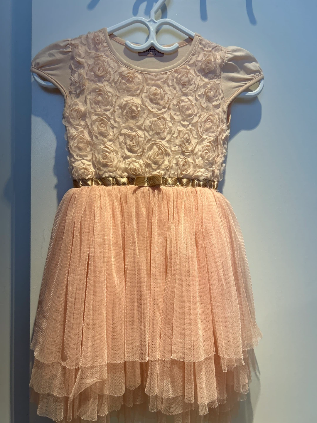 4-6T Rare Editions Rose Embellished Tulle Dress - Pink