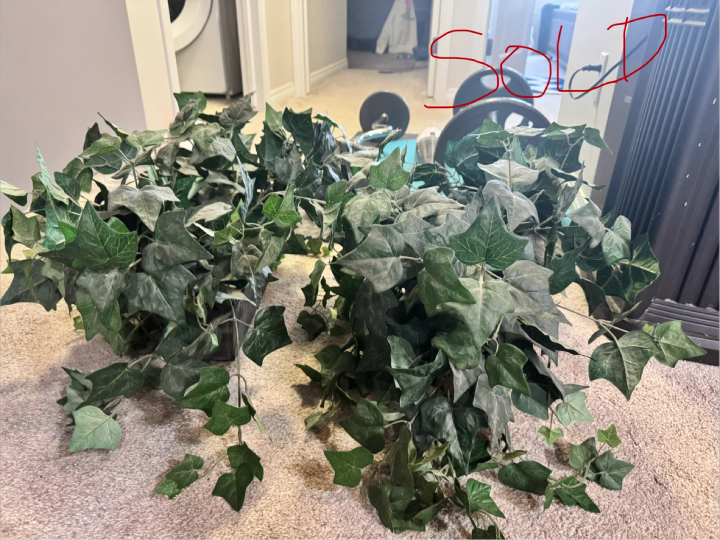 Artificial Ivy Plant in Decorative Pot - photo 2