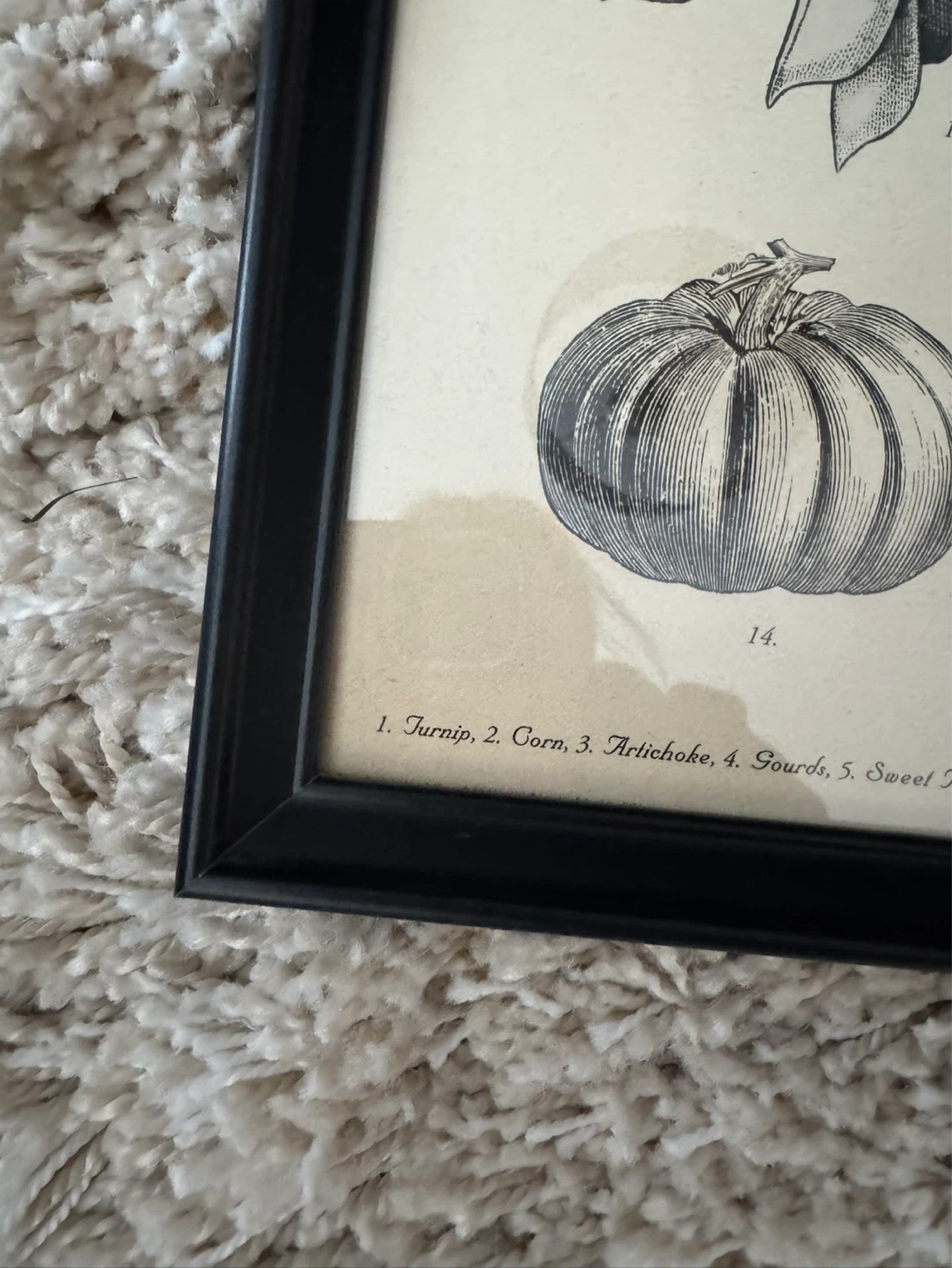 IKEA Set of 2 Framed Botanical Prints - Vegetable & Herb Garden - photo 5