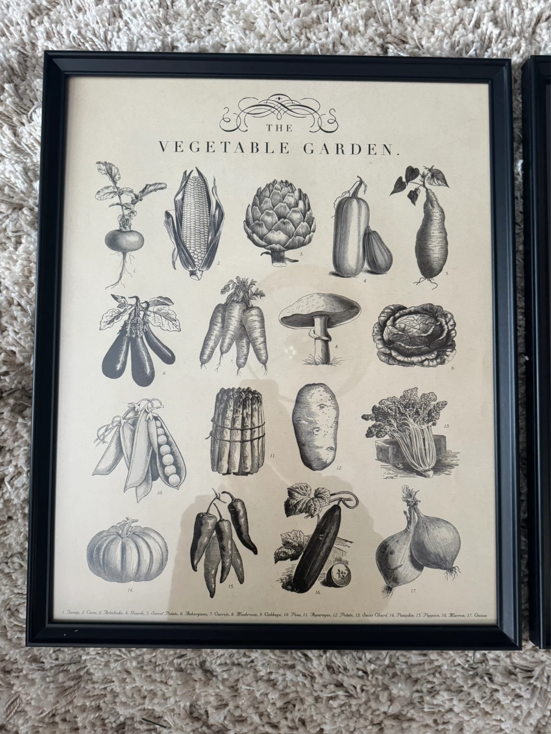 IKEA Set of 2 Framed Botanical Prints - Vegetable & Herb Garden - photo 2