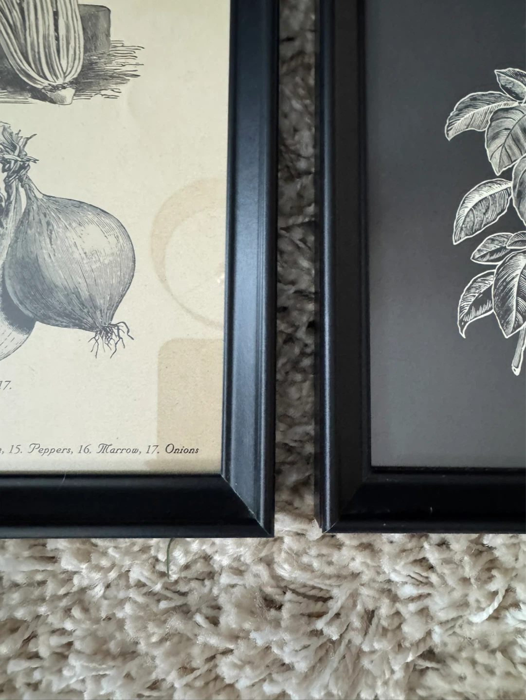 IKEA Set of 2 Framed Botanical Prints - Vegetable & Herb Garden - photo 4