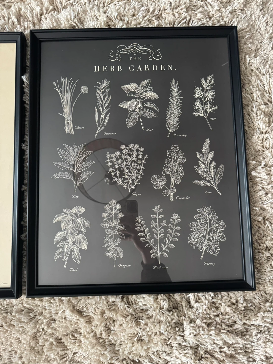 IKEA Set of 2 Framed Botanical Prints - Vegetable & Herb Garden - photo 3