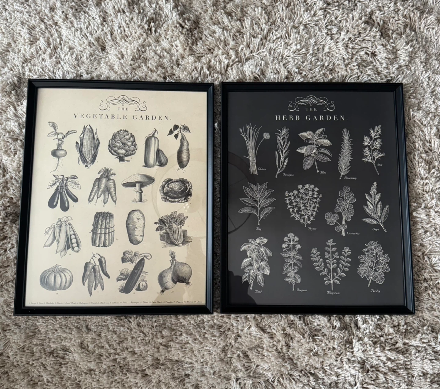 IKEA Set of 2 Framed Botanical Prints - Vegetable & Herb Garden