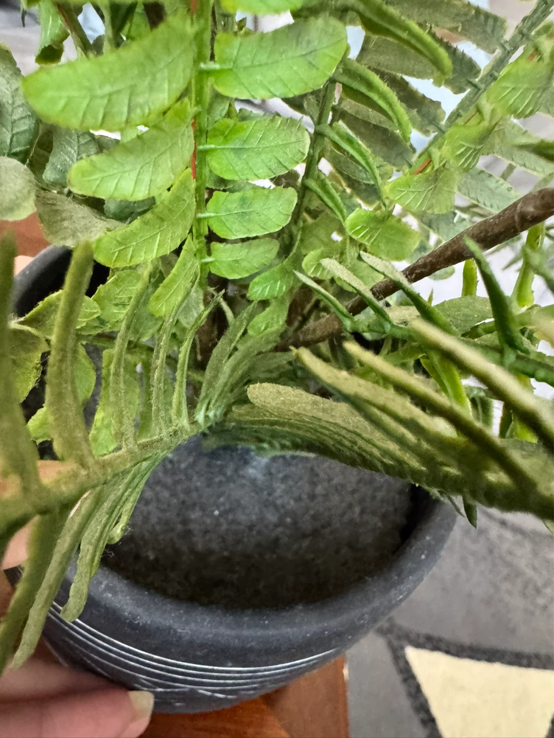 Bouclair Faux Fern Plant - photo 3
