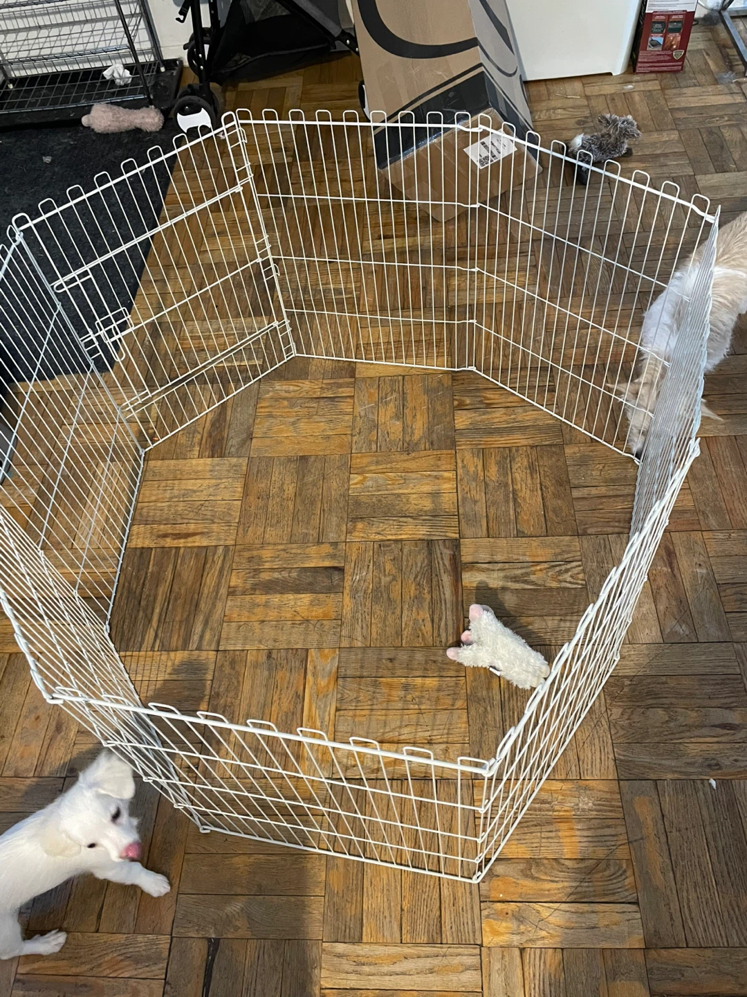 Guinea Pig/Small Pet Playpen - photo 5
