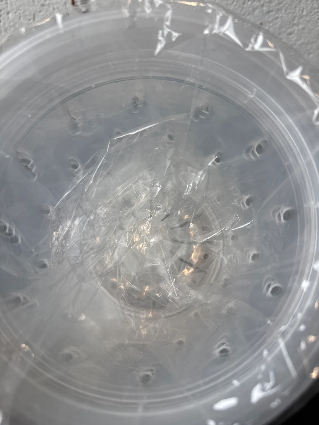 Transparent Orchid Planters (3 Packs, 6.8IN) - photo 2