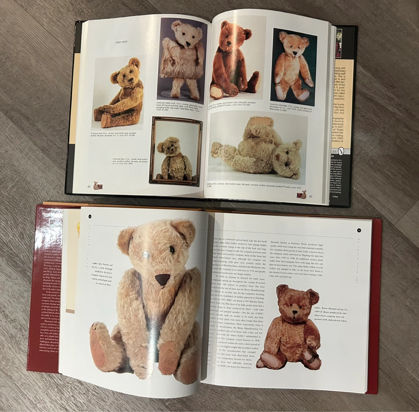 Teddy Bear Books- new! - photo 3