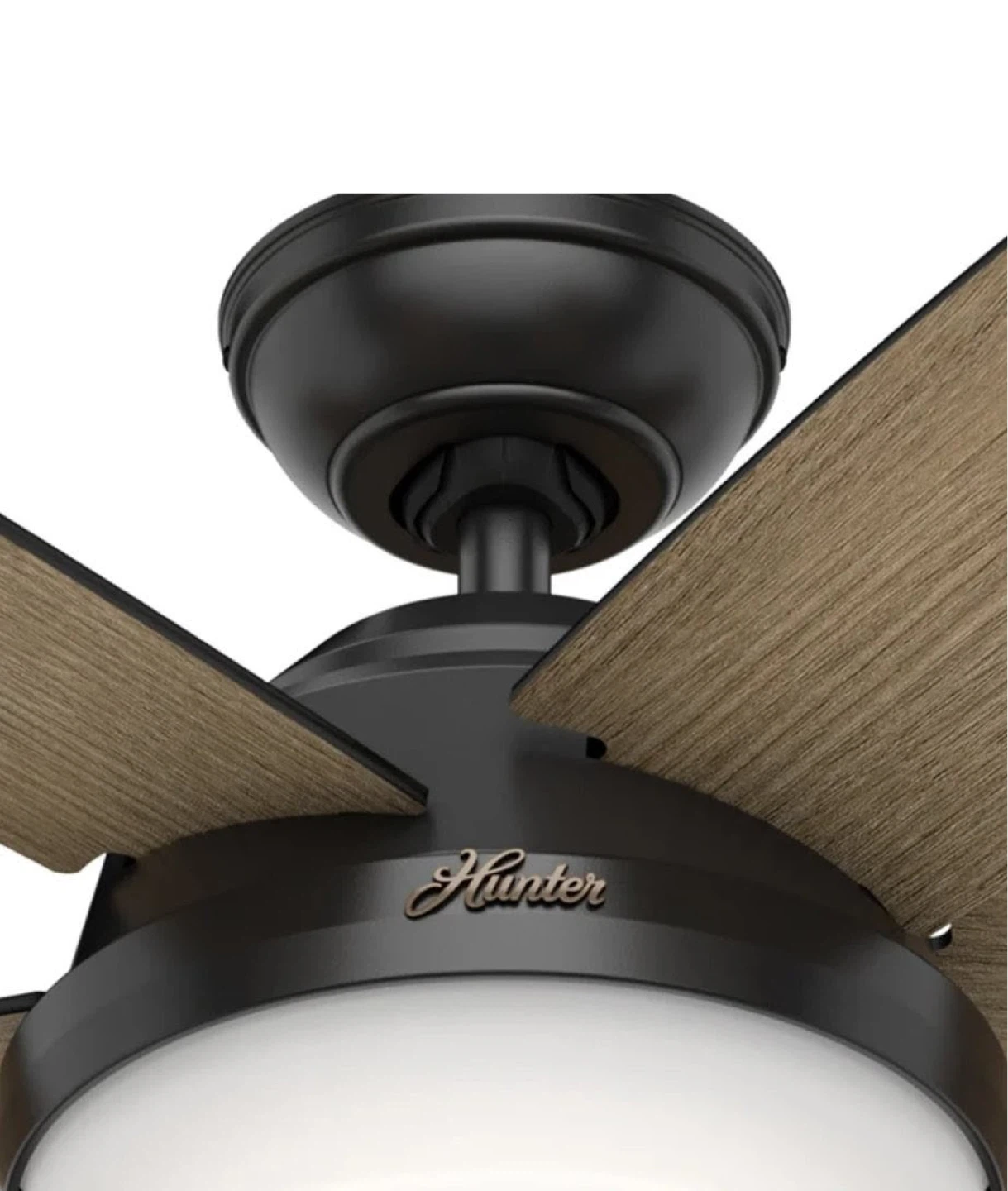 Hunter Avia II & Exeter Ceiling Fans - photo 4