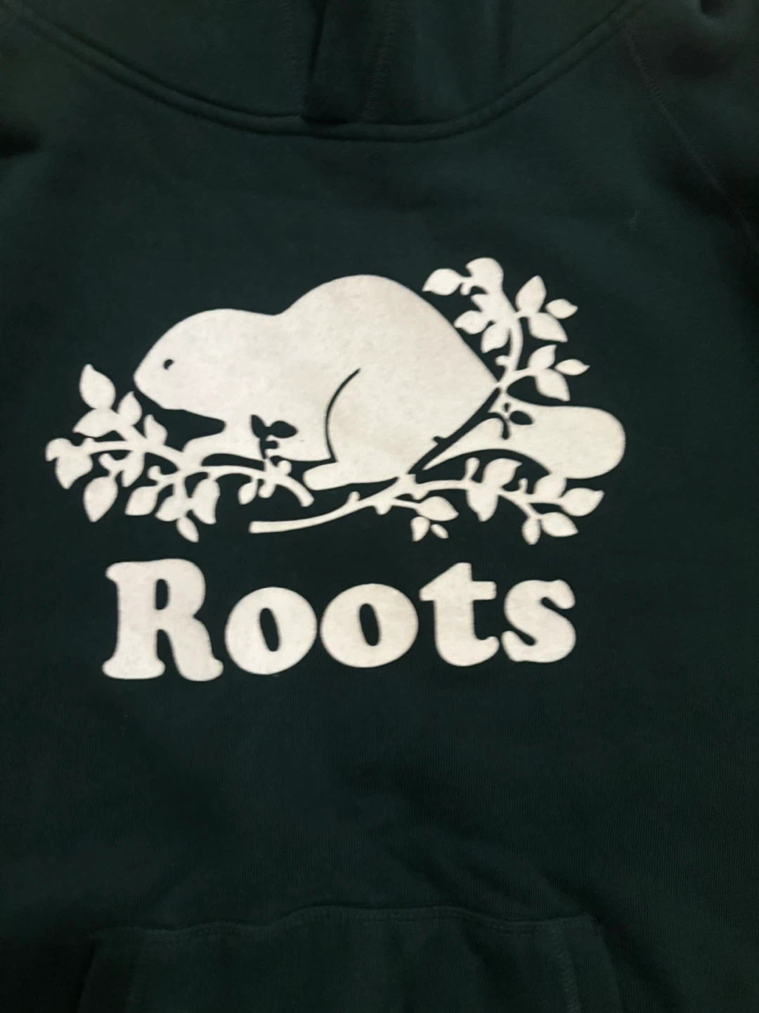 Roots Varsity Green Hoodie and Sweatpants Set - photo 3
