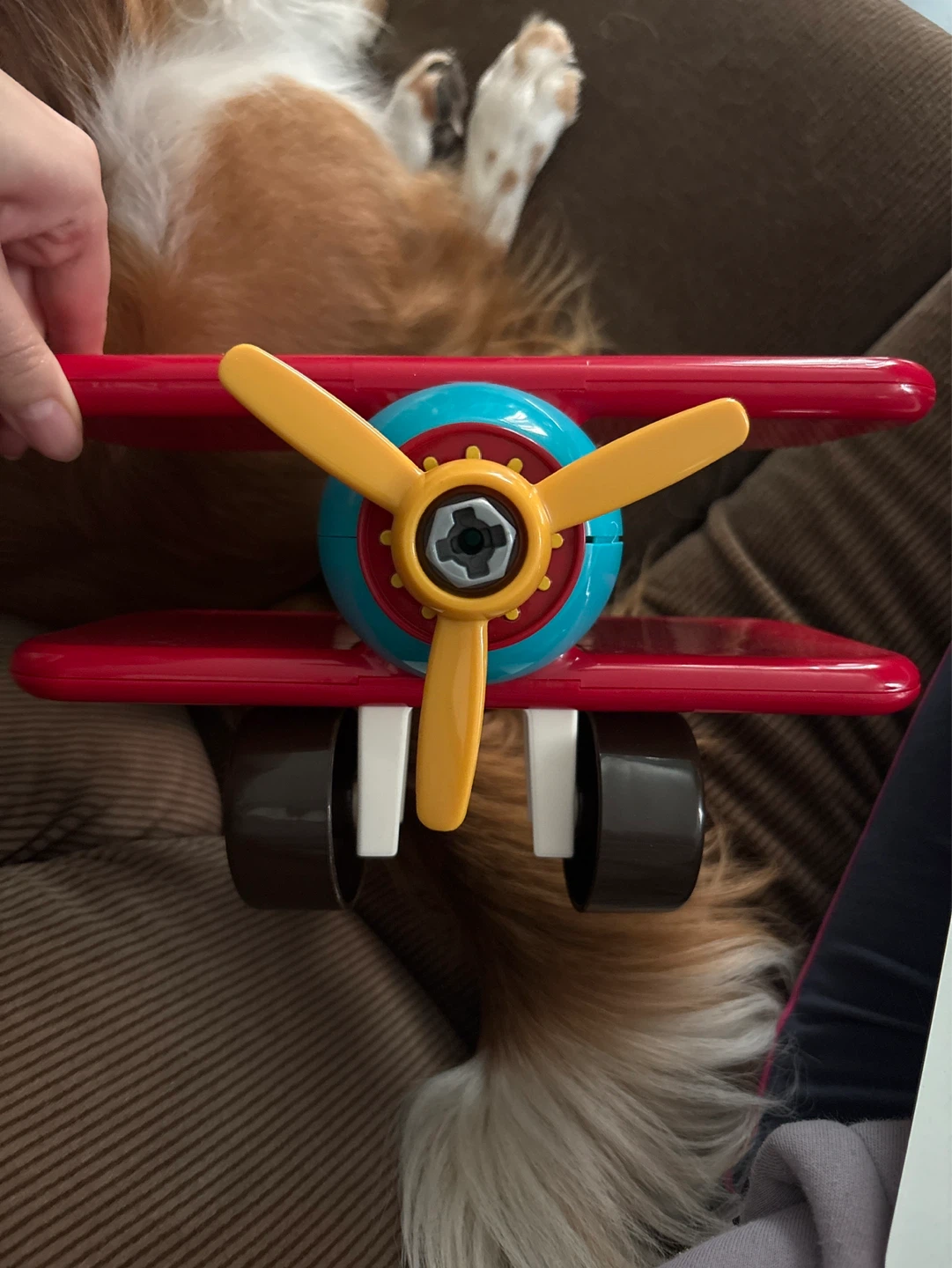 Toy Airplane