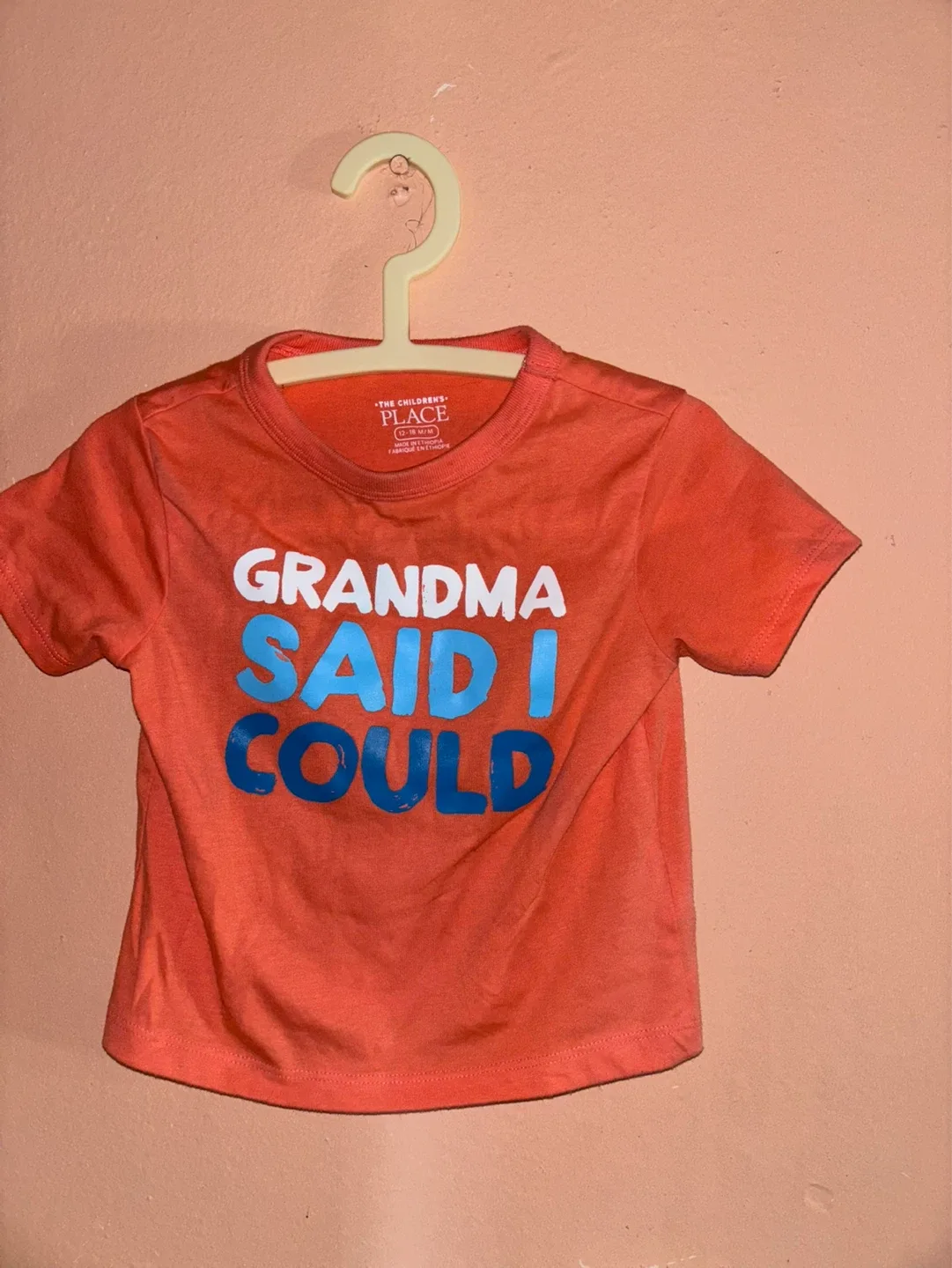 The Children's Place Grandma Said I Could Graphic Tee