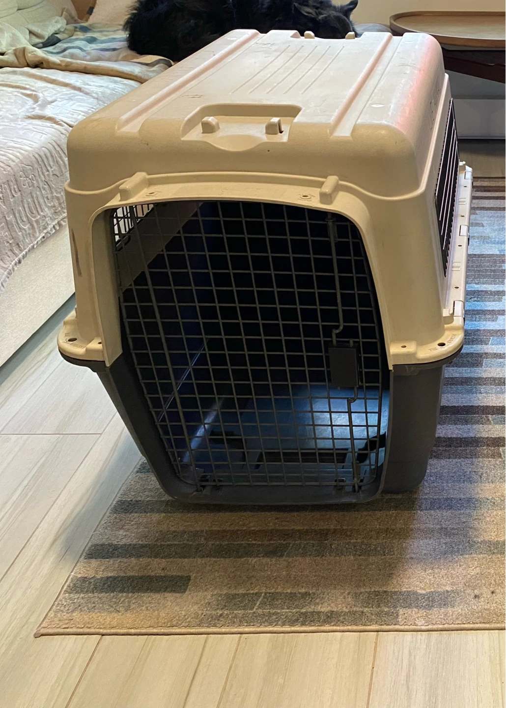 Large Dog Kennel / Travel Crate 🐶 - photo 2