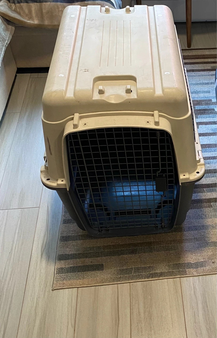 Large Dog Kennel / Travel Crate 🐶