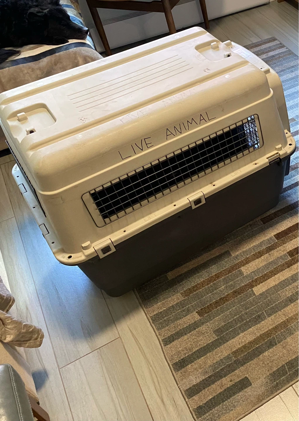 Large Dog Kennel / Travel Crate 🐶 - photo 4