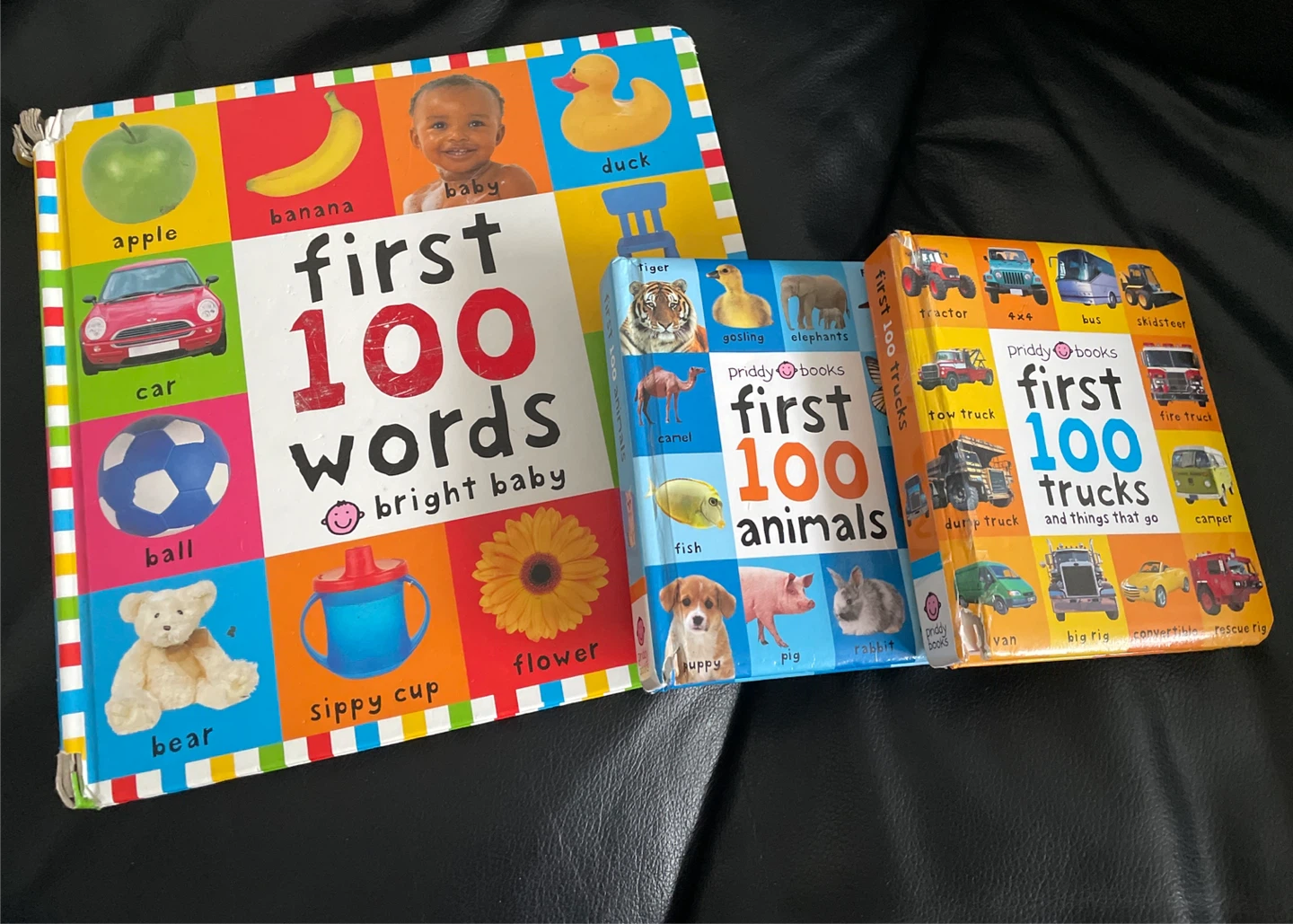 Priddy Books First 100 Words, Animals, and Trucks Books