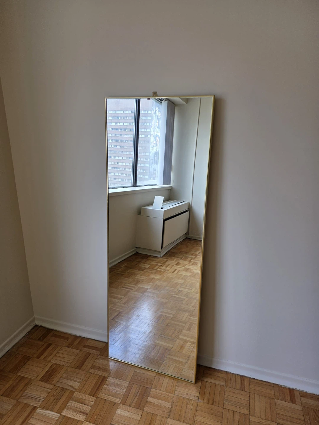 Full Length Gold Trim Mirror