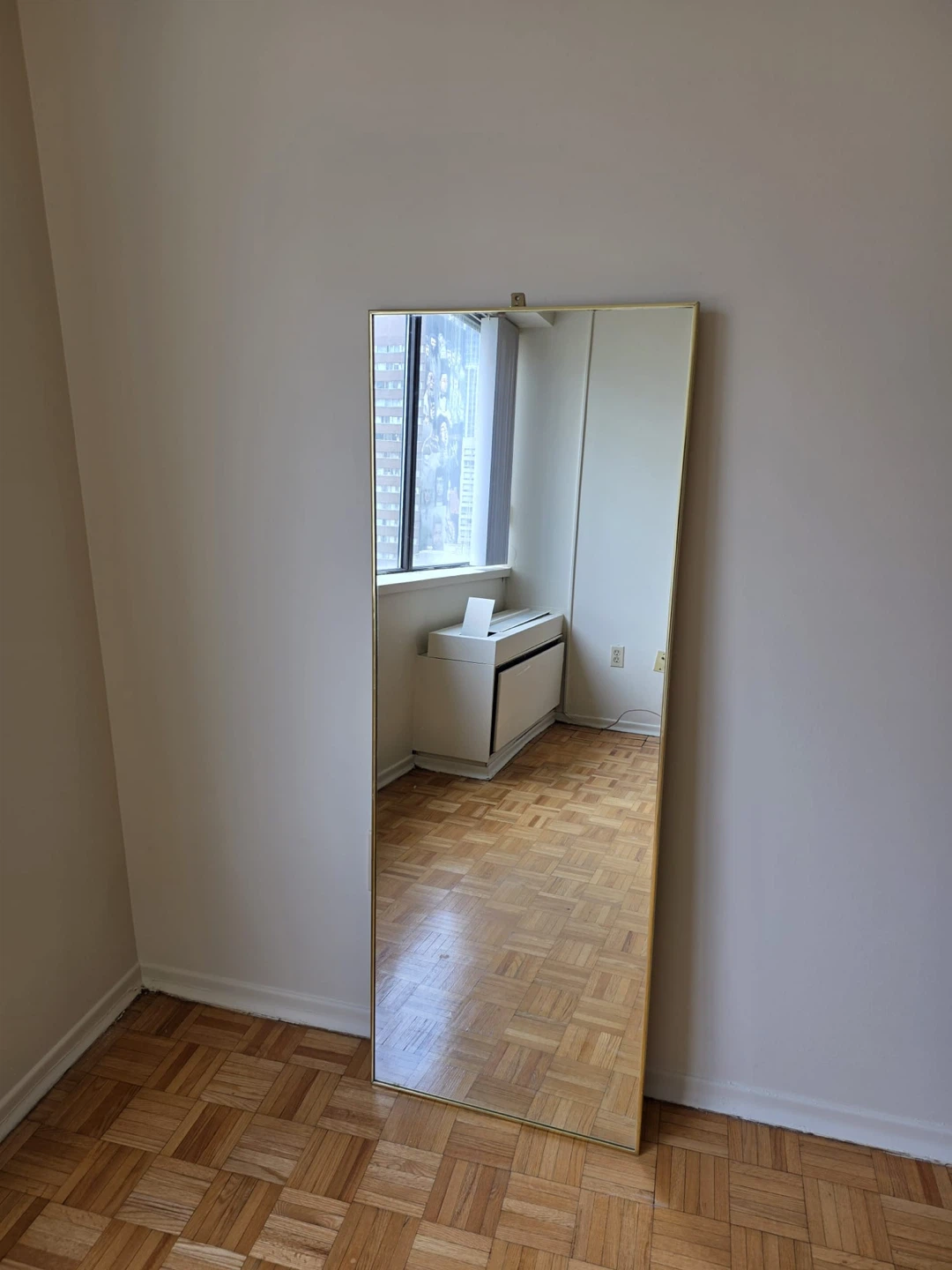 Full Length Gold Trim Mirror - photo 3