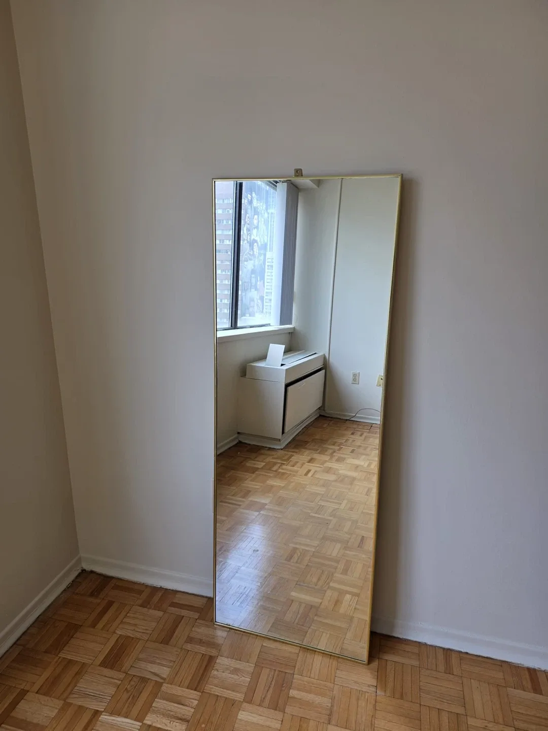 Full Length Gold Trim Mirror - photo 3