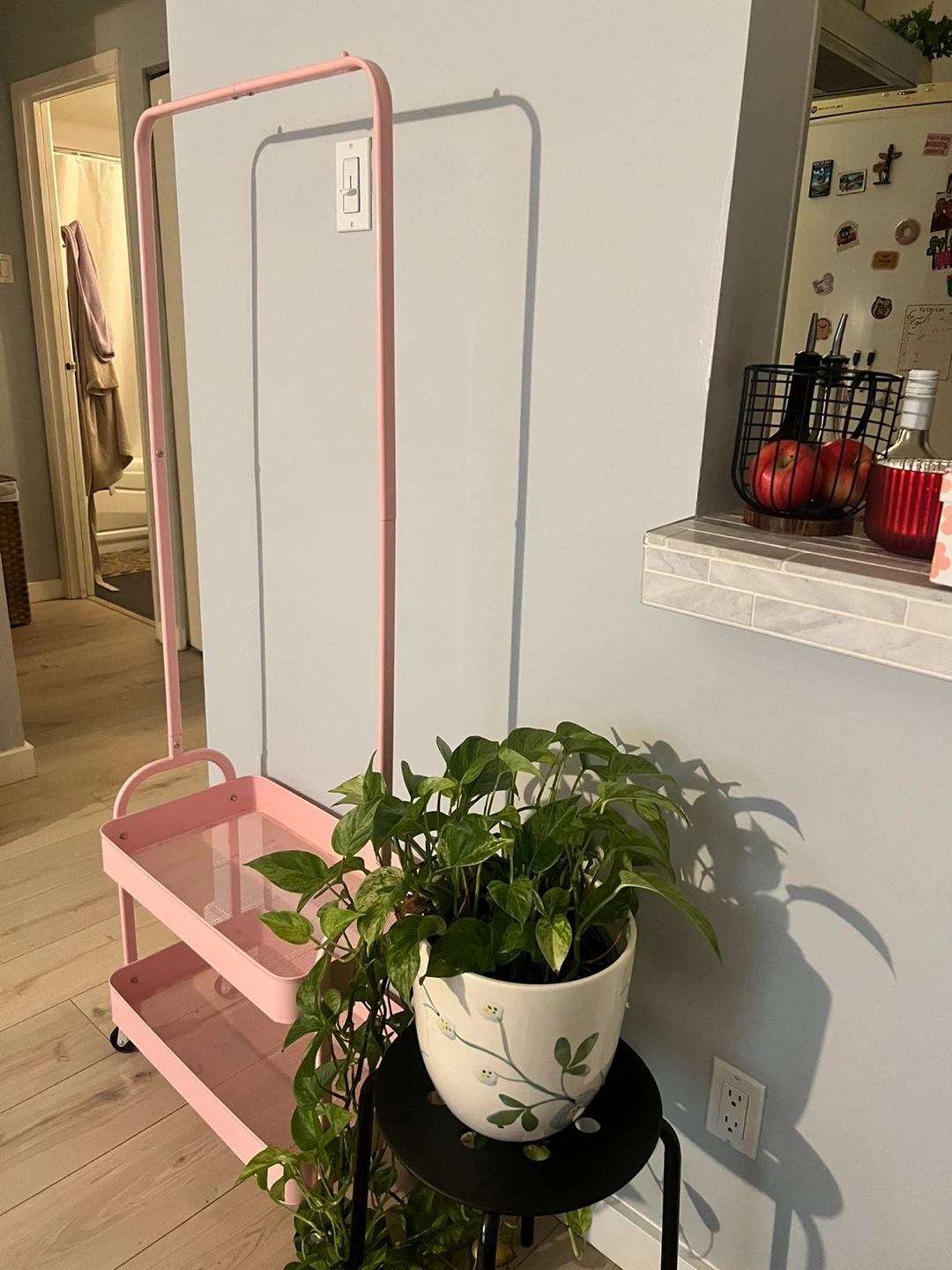 2-Tier Garment Rack