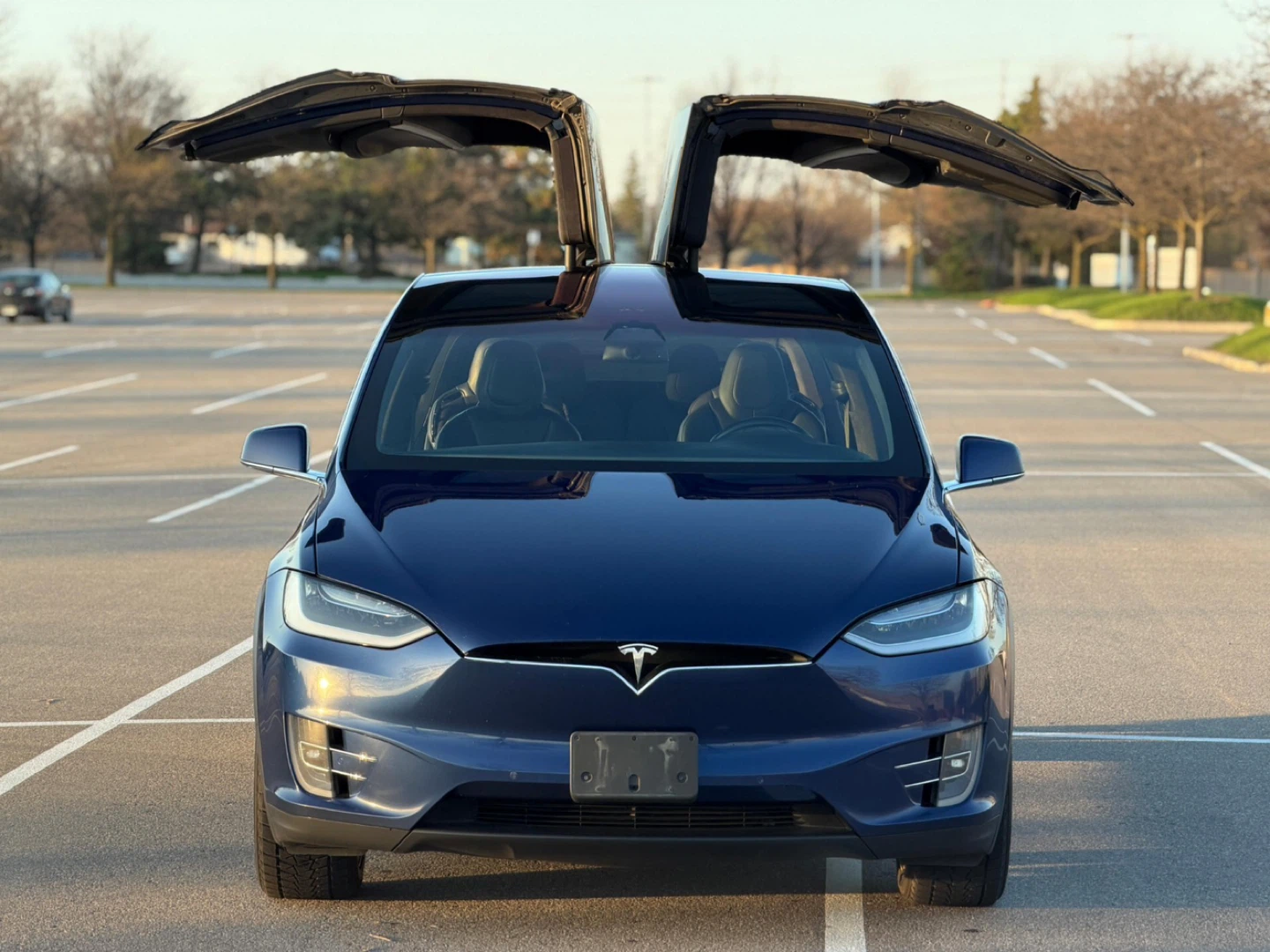 2019 Tesla Model X 100D AWD - photo 2