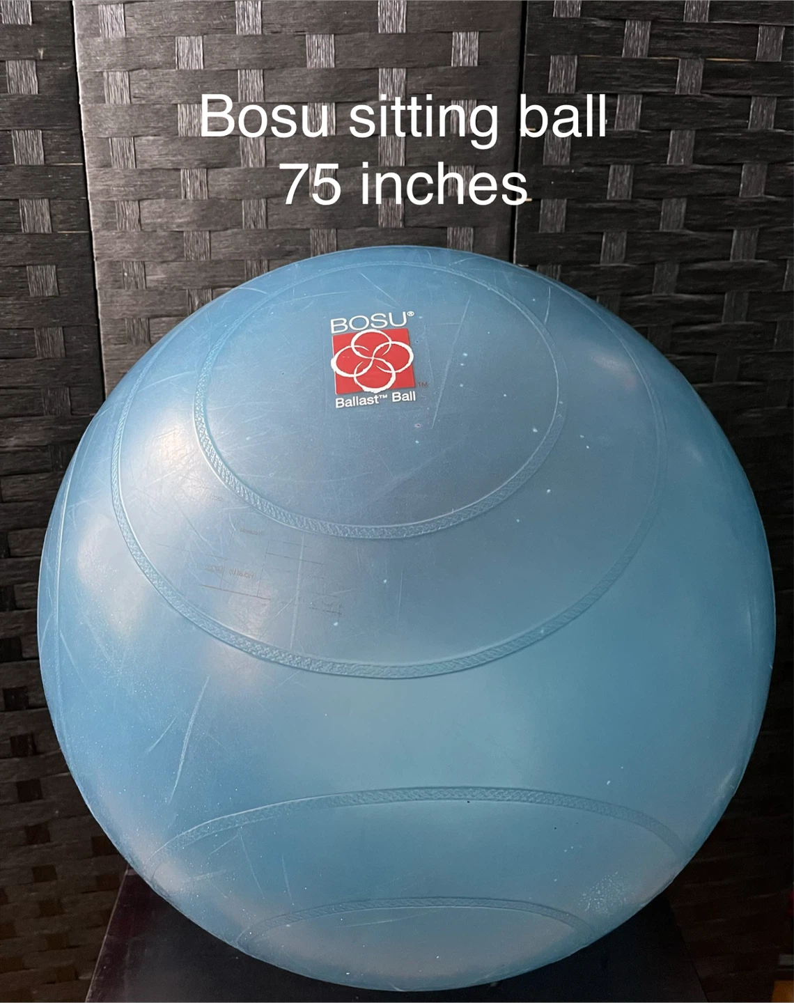 BOSU Sitting Ball - 75 inches