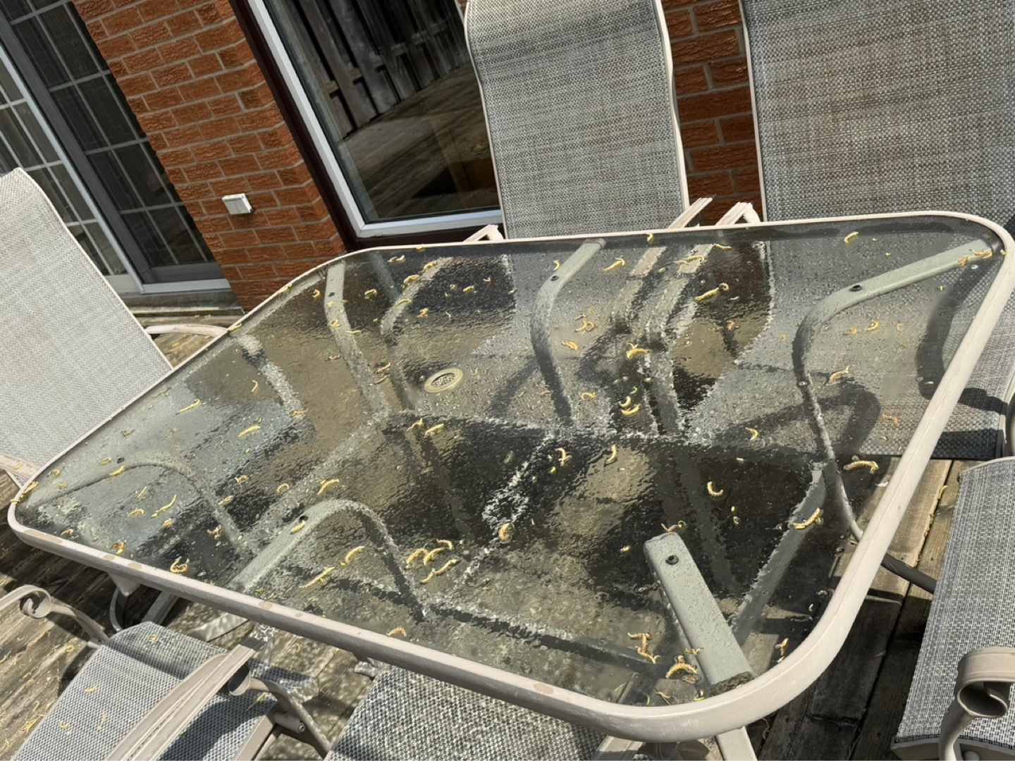 Patio Dining Set with Glass Table and 6 Chairs - photo 2