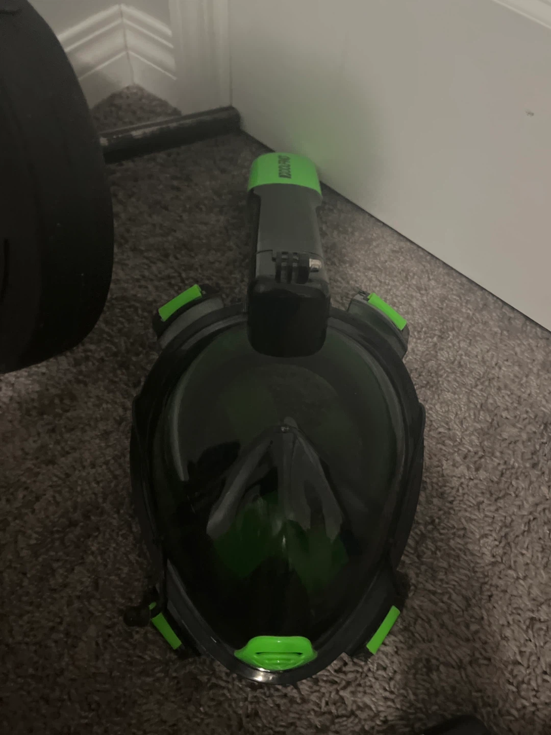 Dolfino Full Face Snorkel Mask - Black/Green