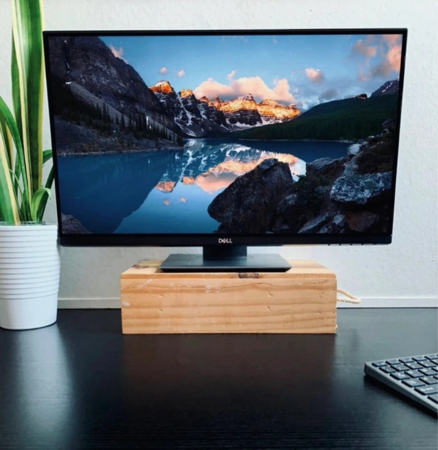 DELL 24” Monitor P2419H Flat Panel