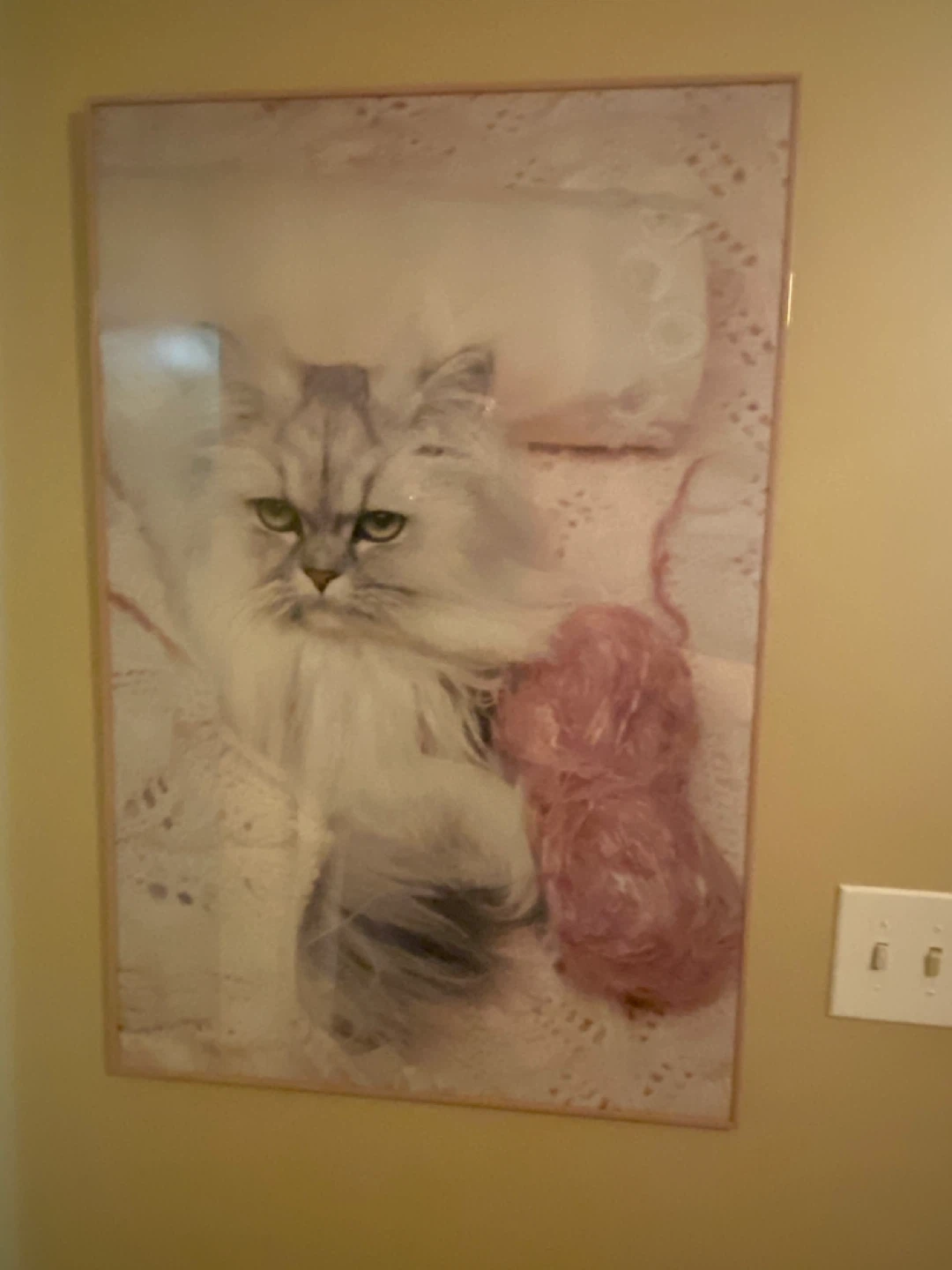 2 FT X 3 FT PROFESSIONAL LONG GREYHAIR - photo 2