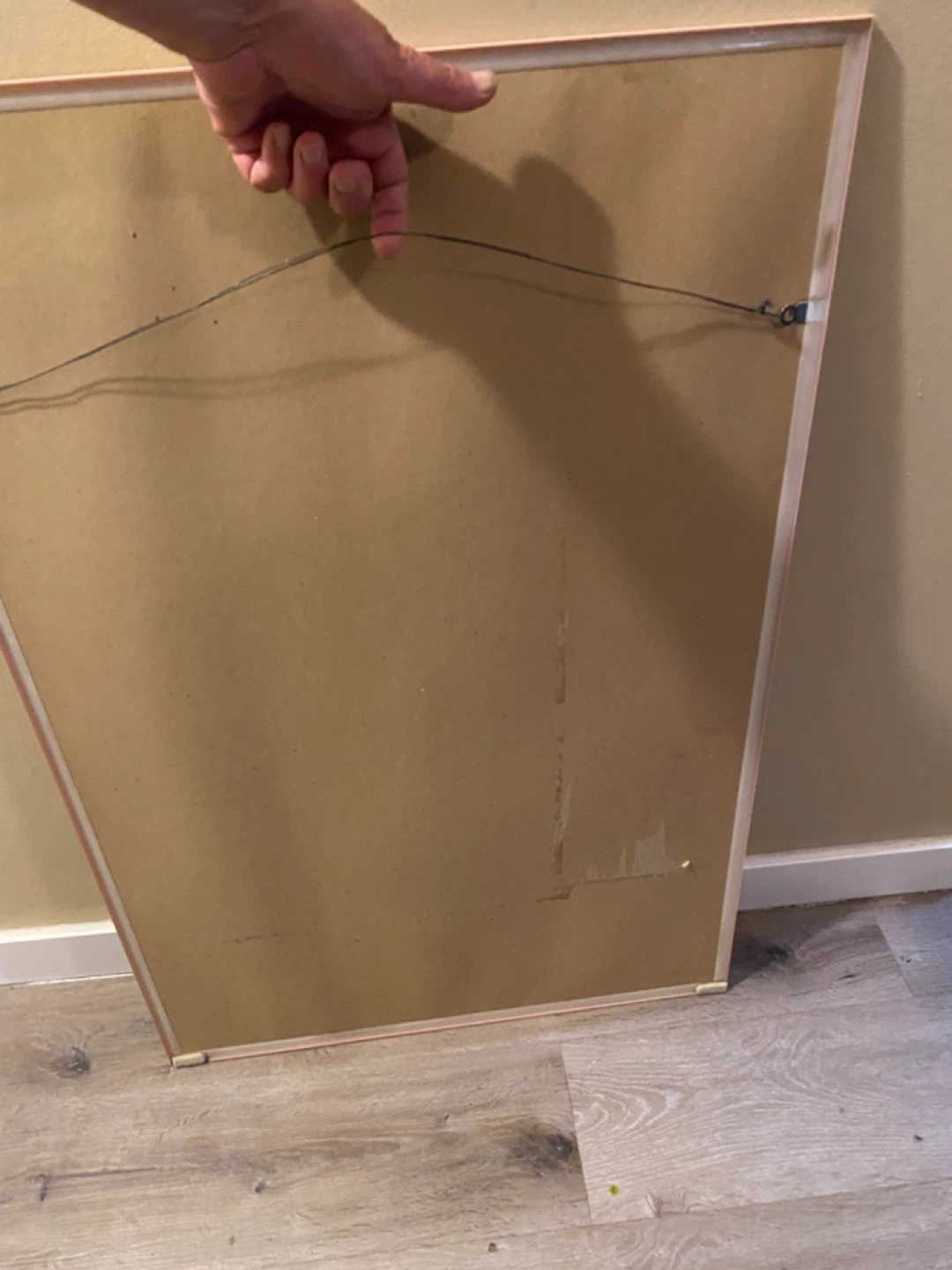 2 FT X 3 FT PROFESSIONAL LONG GREYHAIR - photo 3