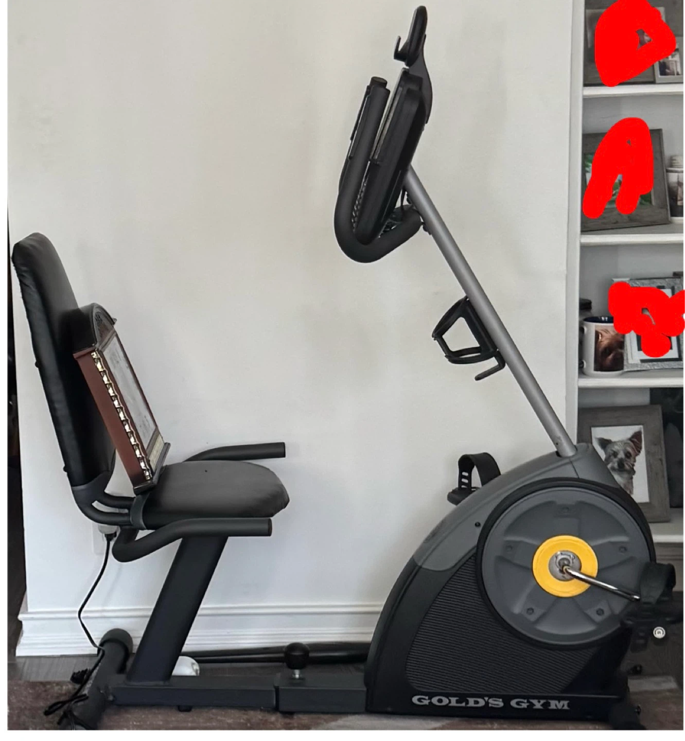 Gold's Gym Recumbent Exercise Bike