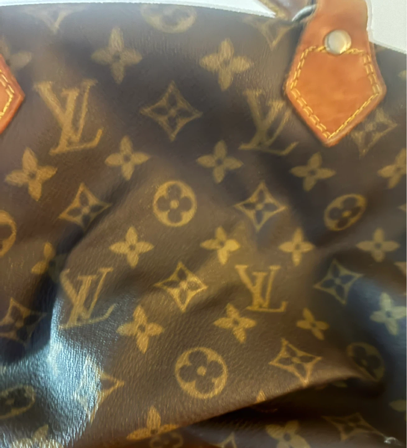 Louis Vuitton Monogram Speedy Handbag